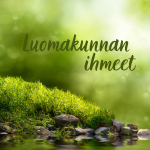 Vapaaehtoisten lauantai Vihreä metsä ja teksti luomakunnan ihmeet