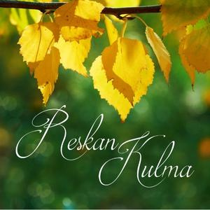 Reskan Kulma. Koivun lehtiä vihreä tausta.